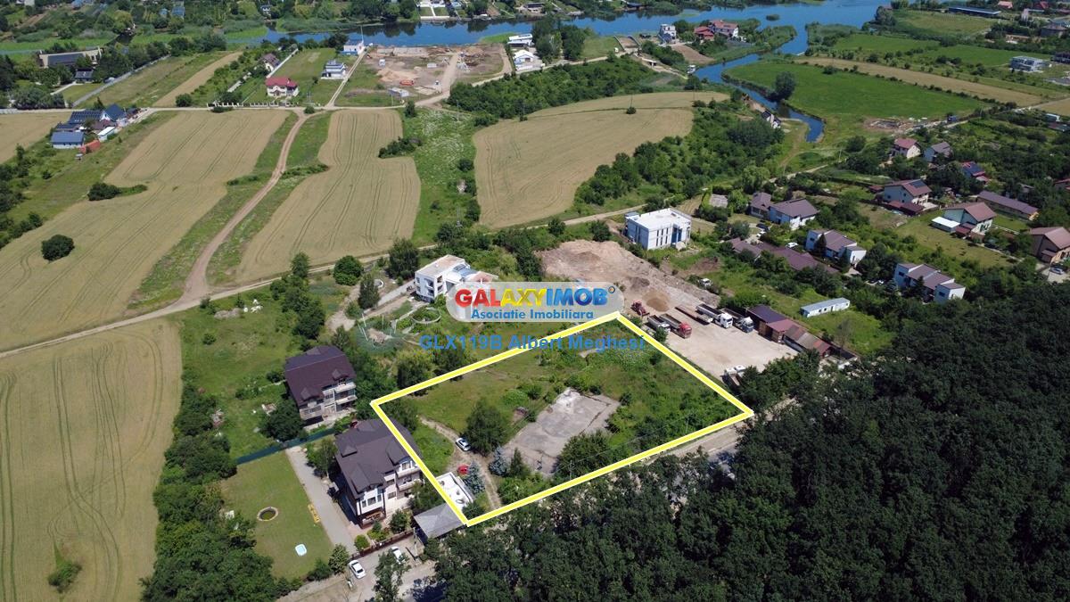 Vanzare teren intravilan 5000 mp Snagov Ciofliceni - foto 10