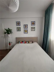 2 camere - tip studio - decomandat - Drumul Binelui - Berceni - foto 2
