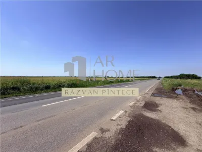 Teren industrial 6 ha, Autostrada A7, Tomsani, Prahova - foto 4
