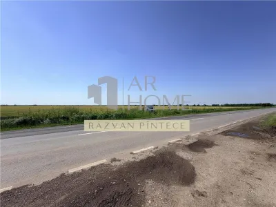Teren industrial 6 ha, Autostrada A7, Tomsani, Prahova - foto 6