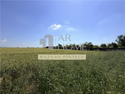 Loturi teren 1500 mp, utilitati, Loloiasca, Tomsani Prahova - foto 6