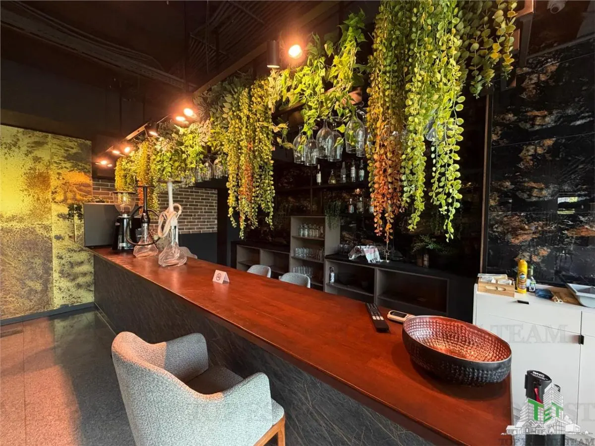 Restaurant + Terasa de inchiriat Sector 3 / Bucuresti - foto 12