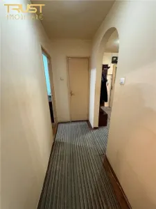 3 Camere I 66 MP I Boxa 25 MP I Manastur - foto 10