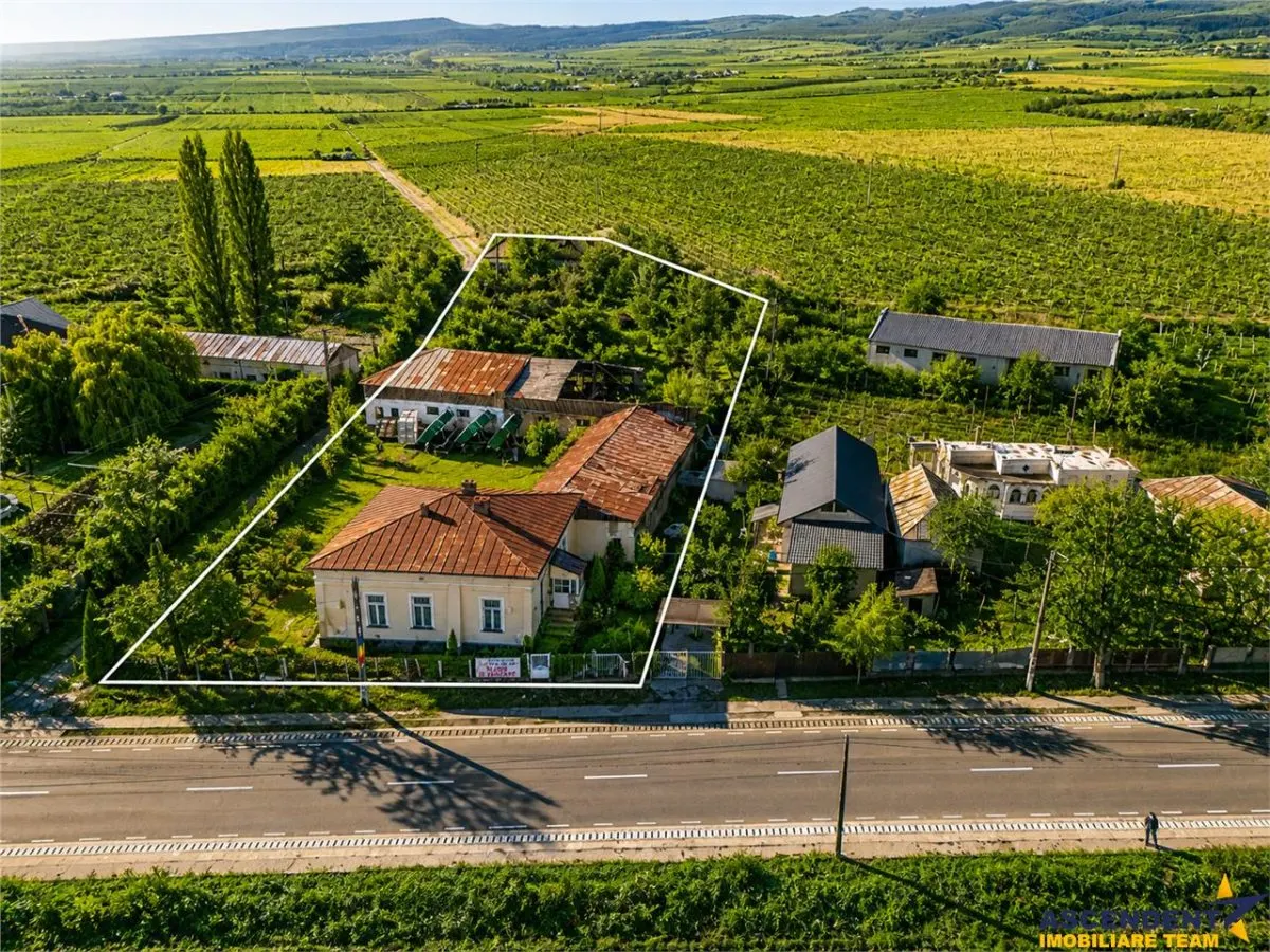 FILM! Domeniu de 4.000 mp intravilan+ casa autentica, in podgoriile Odobesti,Vrancea - foto 1