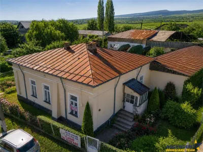 FILM! Domeniu de 4.000 mp intravilan+ casa autentica, in podgoriile Odobesti,Vrancea - foto 2