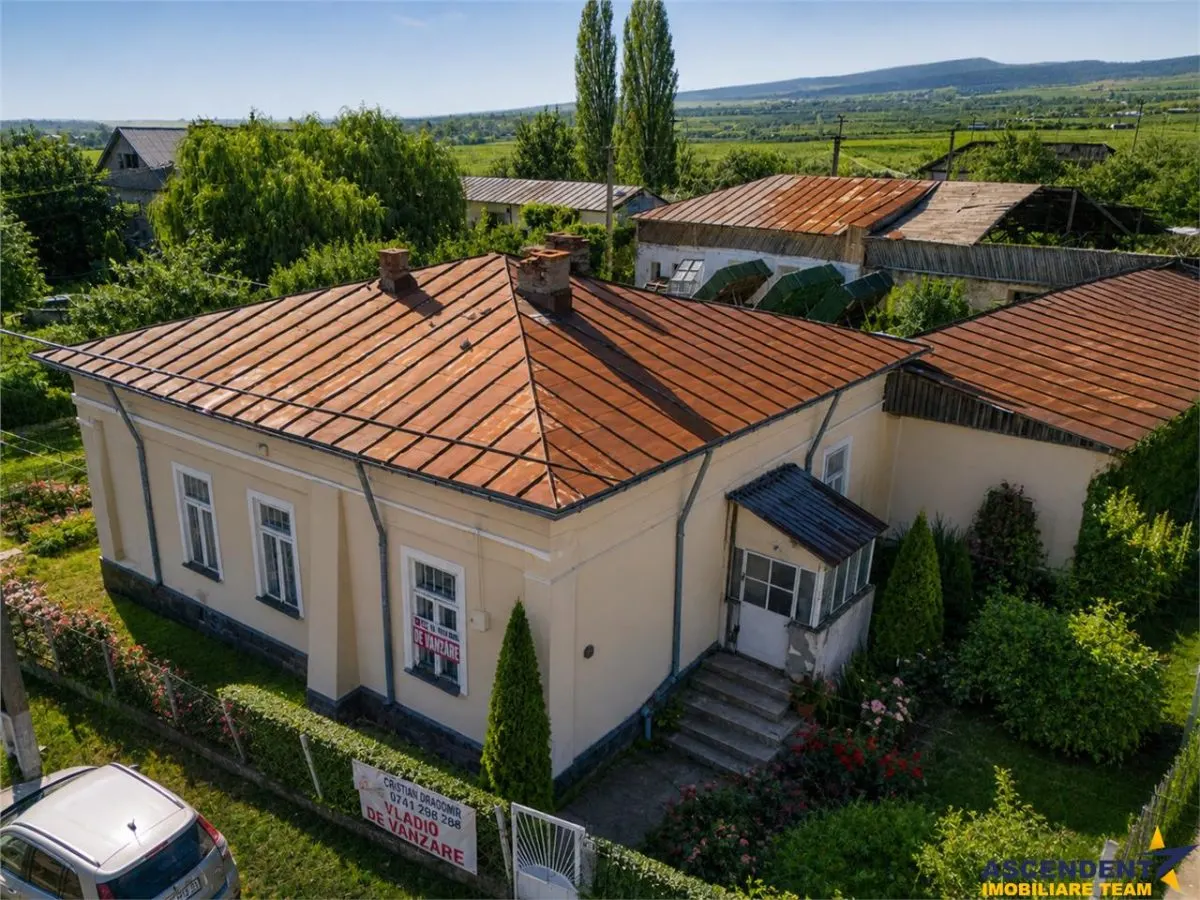 FILM! Domeniu de 4.000 mp intravilan+ casa autentica, in podgoriile Odobesti,Vrancea - foto 2