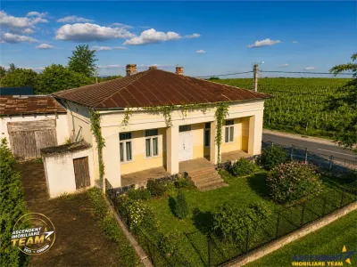 FILM! Domeniu de 4.000 mp intravilan+ casa autentica, in podgoriile Odobesti,Vrancea - foto 4