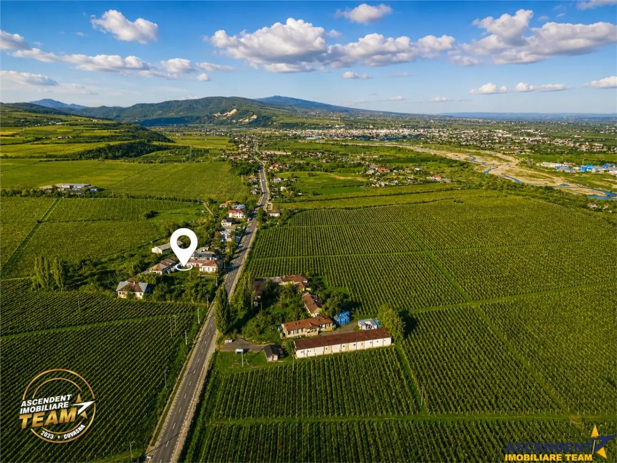FILM! Domeniu de 4.000 mp intravilan+ casa autentica, in podgoriile Odobesti,Vrancea - foto 6