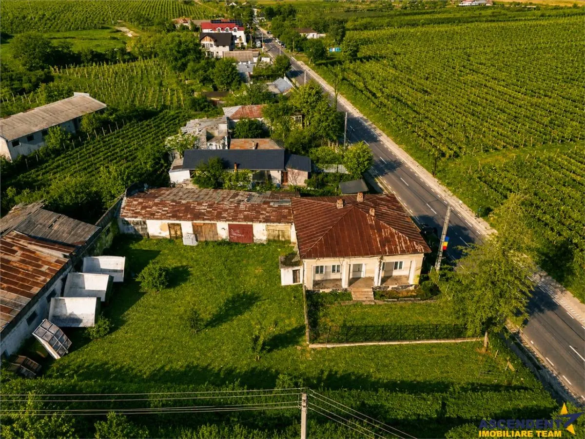 FILM! Domeniu de 4.000 mp intravilan+ casa autentica, in podgoriile Odobesti,Vrancea - foto 7