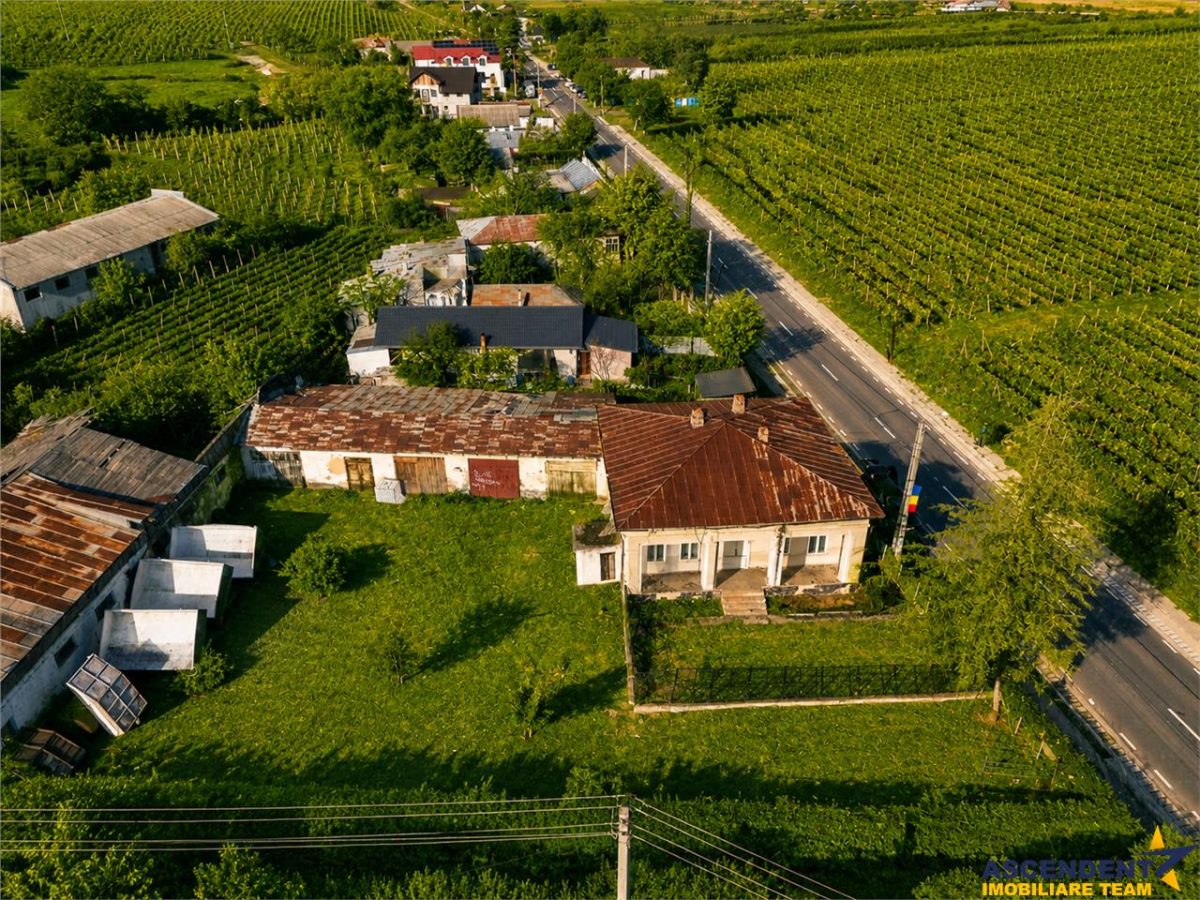 FILM! Domeniu de 4.000 mp intravilan+ casa autentica, in podgoriile Odobesti,Vrancea - foto 9