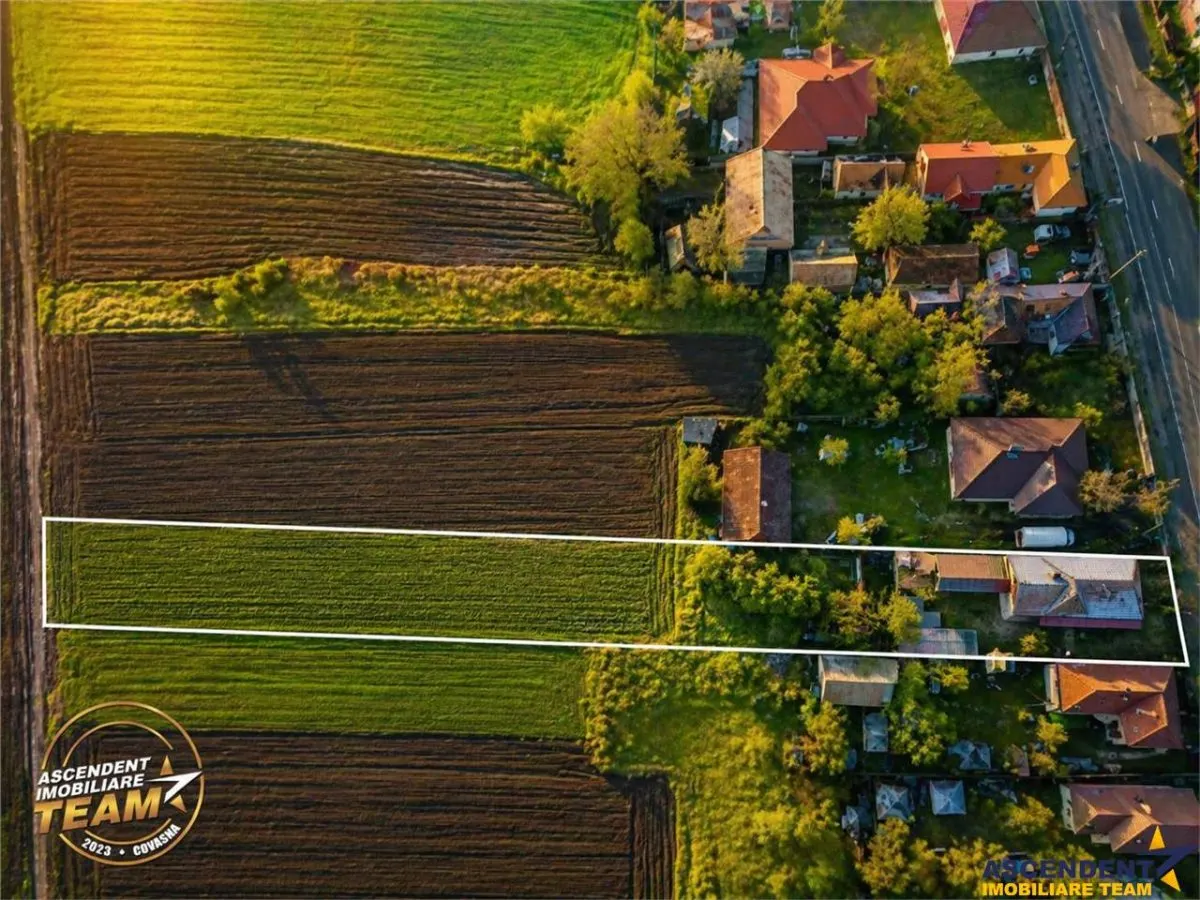 Proprietate pe 1.800 mp teren, avantaje alese, in vecinatatea orasului Targu Secuiesc. - foto 5