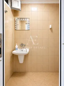 Antony Estate | Chirie Sp Comercial 45 mp, Iosia - Oradea - foto 5