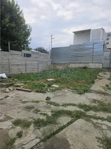 Salajan - Theodor Pallady - Ilioara - Bucuresti