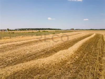 RECO Teren industrial in Nojorid la doar 6km de Oradea - foto 5