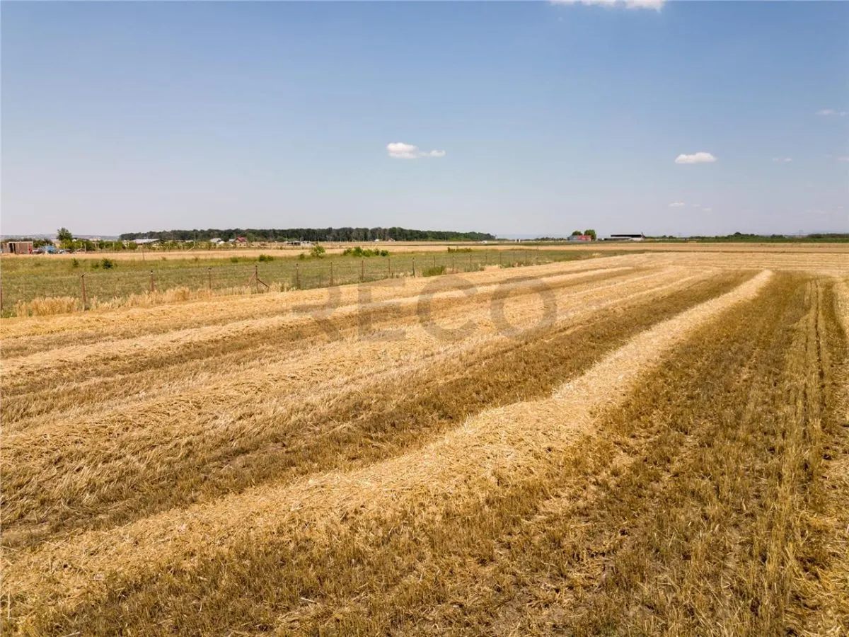 RECO Teren industrial in Nojorid la doar 6km de Oradea - foto 5