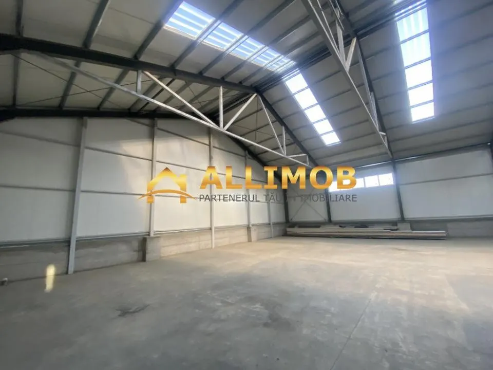 Hala 590 mp si platforma 3500 mp in Ploiestiori. - foto 4