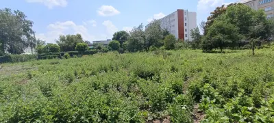 Teren intravilan 2822 mp regim inaltime de P+4E. - Ploiesti
