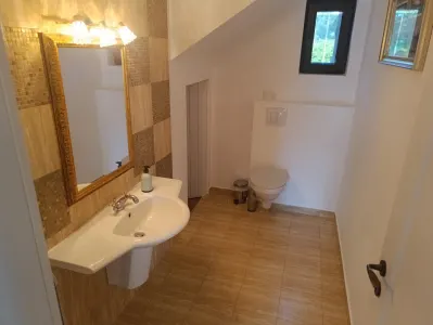 Vila 4 camere in Snagov, suprafata utila 240 mp, suprafata teren 1100 mp. - foto 20
