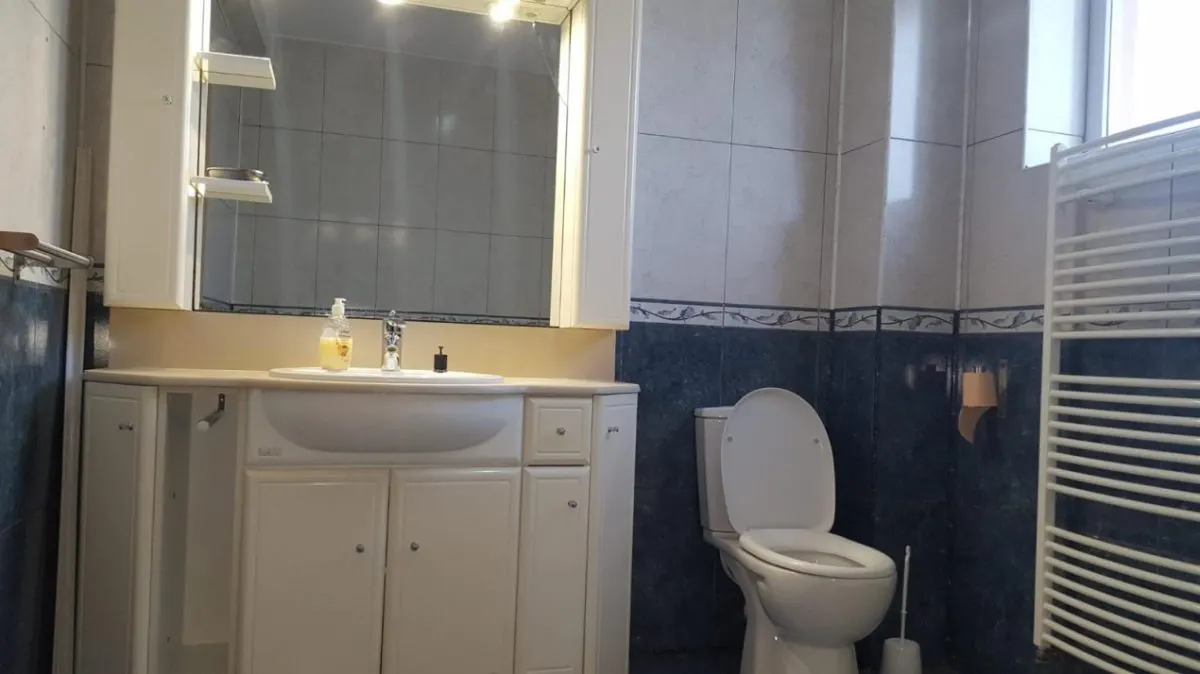 Vila  5 camere  , in Ploiesti, zona 8 Martie. - foto 21