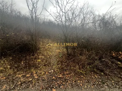 Teren intravilan 653 mp in Boldesti-Scaeni. - foto 12