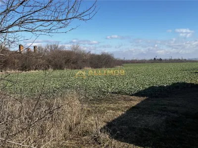 Teren intravilan Ghighiu, 17000 mp, deschidere 30ml. - foto 7
