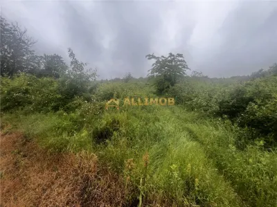 Teren intravilan, 1000mp, in Valea Calugareasca. - foto 4