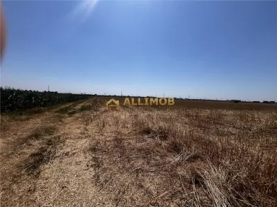 Oportunitate de investitie â€“ Teren extravilan 6.480 mp, cu dubla deschidere, situat la DN1 - foto 13