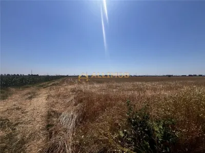 Oportunitate de investitie â€“ Teren extravilan 6.480 mp, cu dubla deschidere, situat la DN1 - foto 15