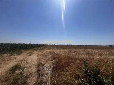 Oportunitate de investitie â€“ Teren extravilan 6.480 mp, cu dubla deschidere, situat la DN1 - foto 16