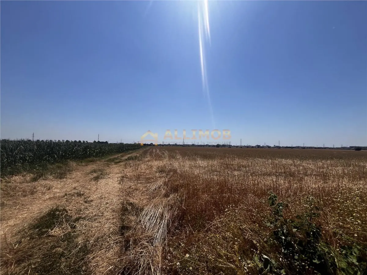 Oportunitate de investitie â€“ Teren extravilan 6.480 mp, cu dubla deschidere, situat la DN1 - foto 16