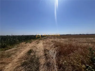 Oportunitate de investitie â€“ Teren extravilan 6.480 mp, cu dubla deschidere, situat la DN1 - foto 17