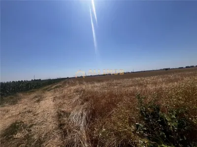 Oportunitate de investitie â€“ Teren extravilan 6.480 mp, cu dubla deschidere, situat la DN1 - foto 18
