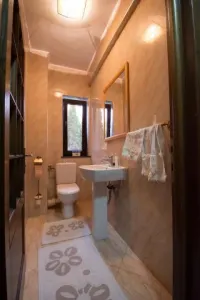Vila 4 camere  cu piscina in Bucov. - foto 27