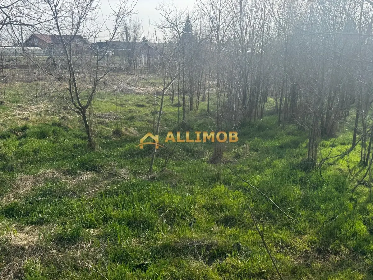 Teren intravilan in Targosu Nou. - foto 2