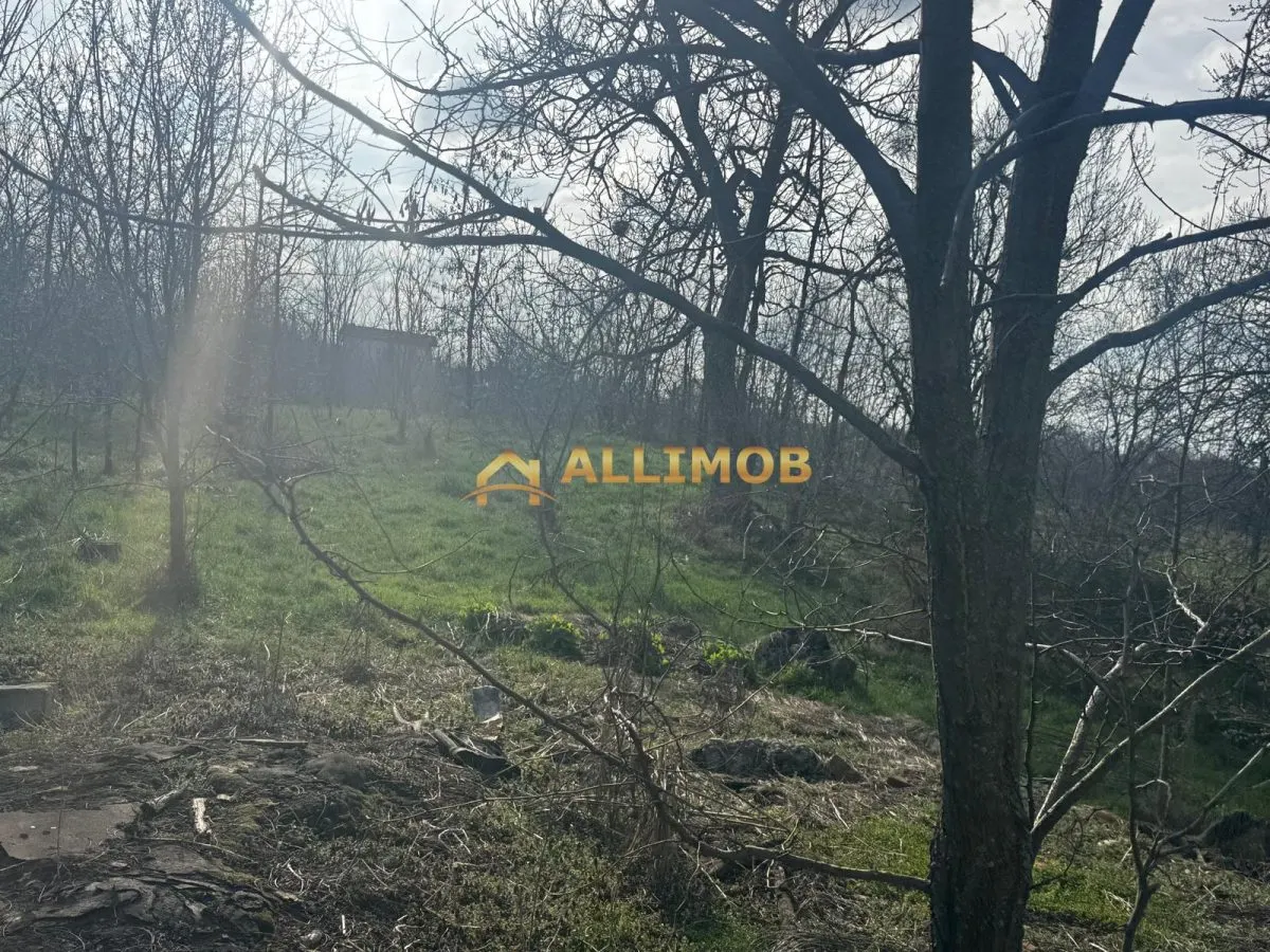 Teren intravilan in Targosu Nou. - foto 6
