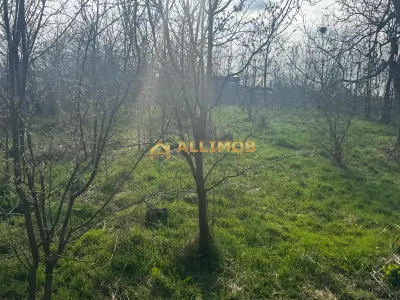 Teren intravilan in Targosu Nou. - foto 7