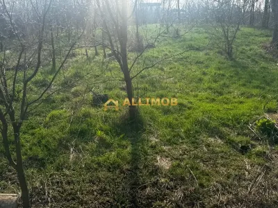 Teren intravilan in Targosu Nou. - foto 8