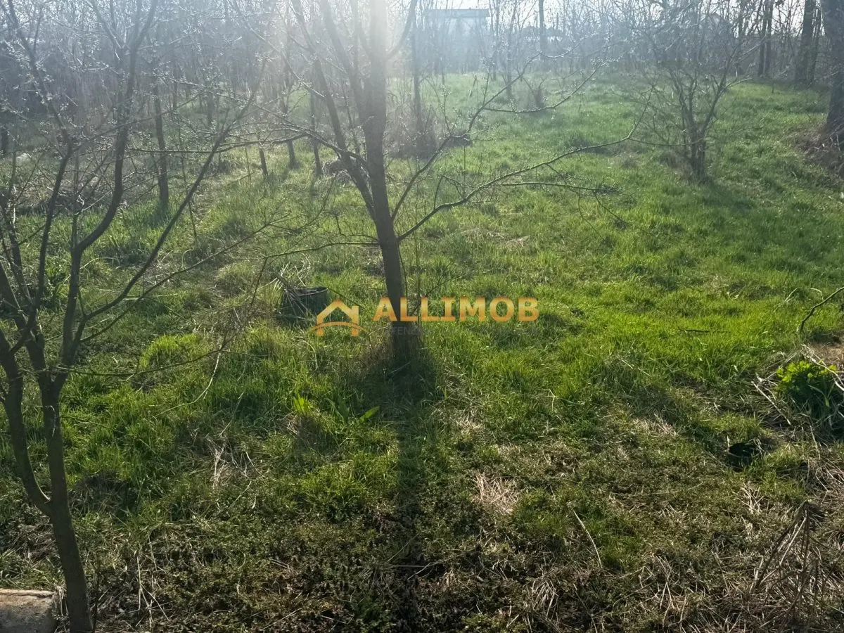 Teren intravilan in Targosu Nou. - foto 8