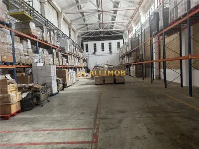 Hale cu poduri rulante de 12,5 t, si 5,5t in Ploiesti, zona Xenia. - foto 13