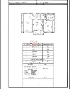 Vanzare apartament 2 camere Teiul Doamnei - foto 9