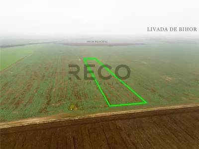 RECO Teren extravilan 5800 mp Livada de Bihor - foto 3