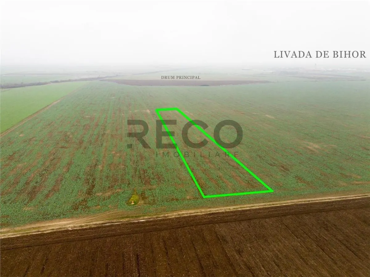 RECO Teren extravilan 5800 mp Livada de Bihor - foto 3