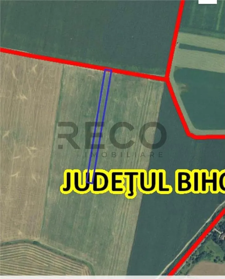 RECO Teren extravilan 5800 mp Livada de Bihor - foto 4