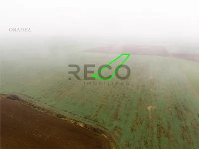 RECO Teren extravilan 5800 mp Livada de Bihor - foto 5