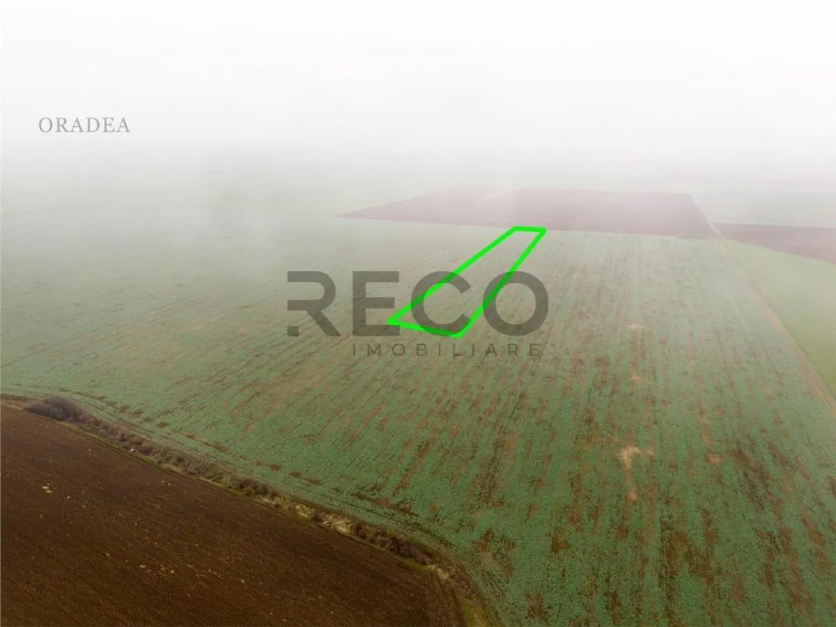 RECO Teren extravilan 5800 mp Livada de Bihor - foto 5