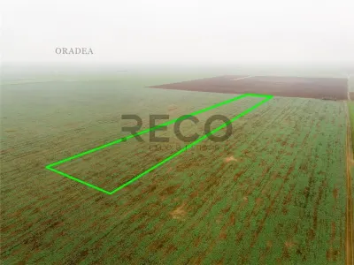 RECO Teren extravilan 5800 mp Livada de Bihor - foto 6