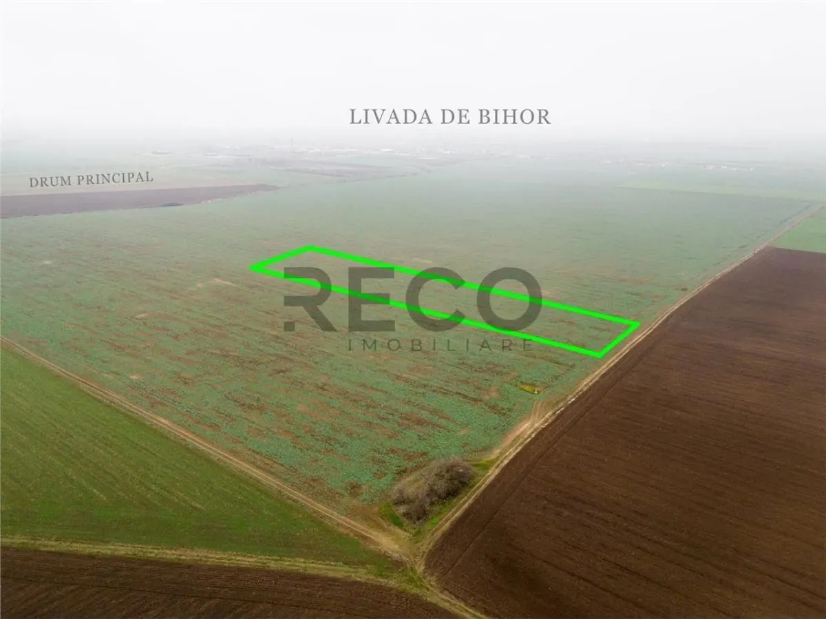 RECO Teren extravilan 5800 mp Livada de Bihor - foto 7