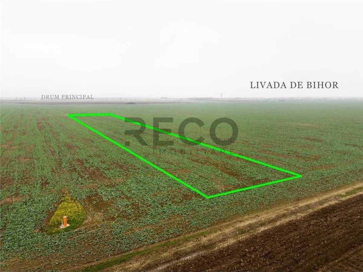 RECO Teren extravilan 5800 mp Livada de Bihor - foto 8