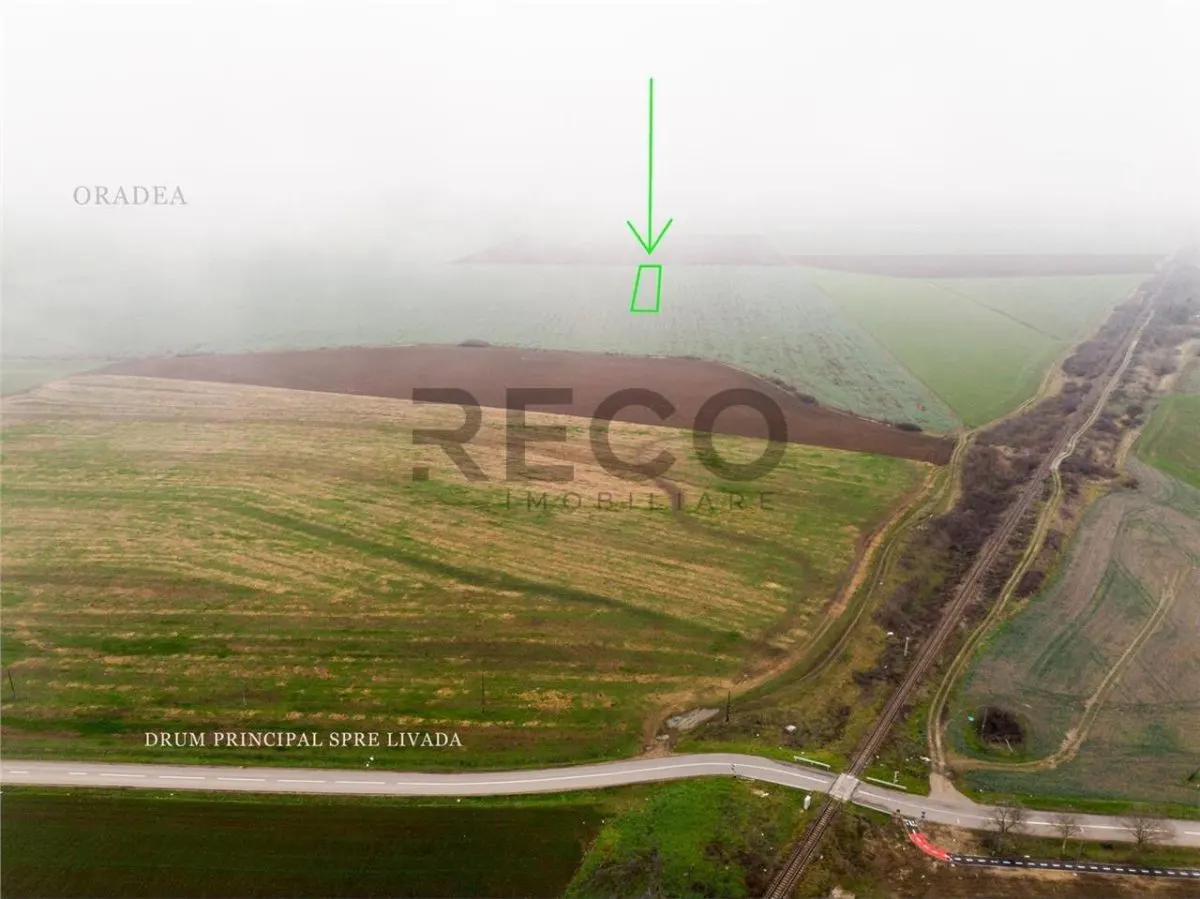 RECO Teren extravilan 5800 mp Livada de Bihor - foto 9