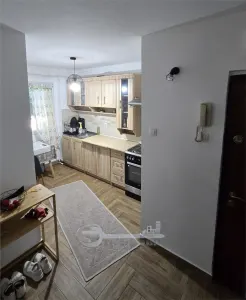 Apartament 2 camere Podu Roș, etaj 1, geam la baie, 49.57mp - foto 3